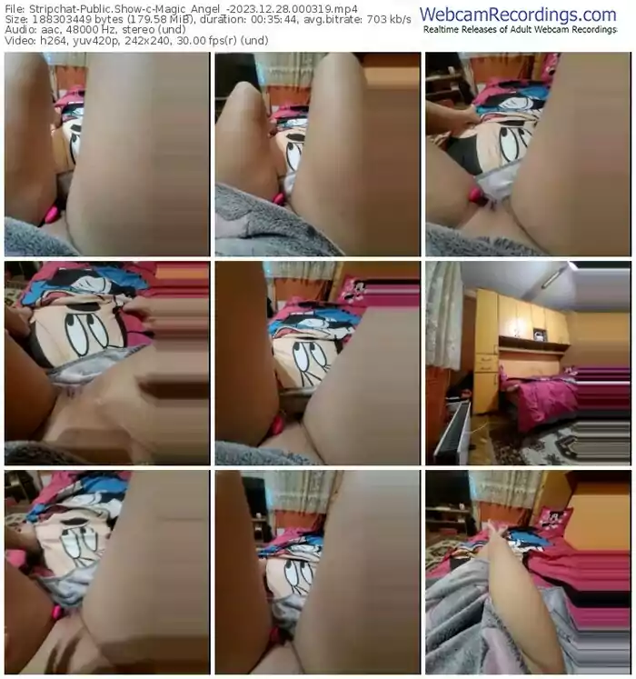 stripchat-magic_angel_-12-28-2023-00-03-19
