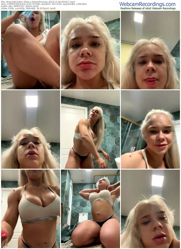 stripchat-pennyprincess-12-28-2023-09-30-17