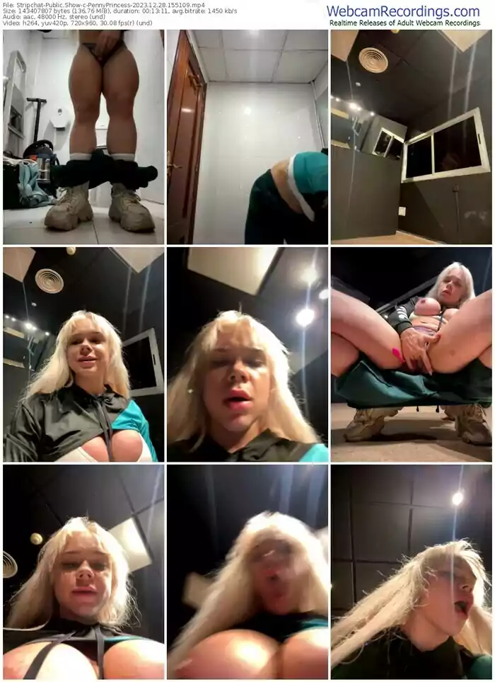 stripchat-pennyprincess-12-28-2023-15-51-09