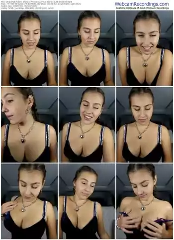 stripchat-princess_afina-12-28-2023-00-21-48