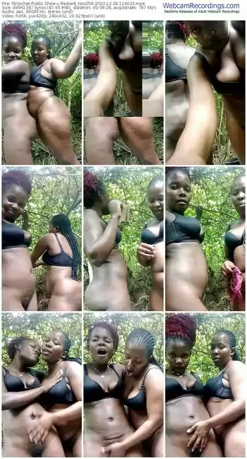 stripchat-rediant_two256-12-28-2023-11-40-23