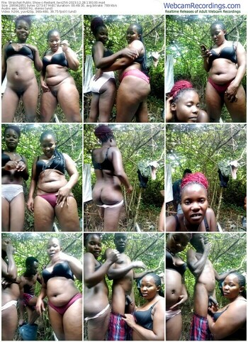 stripchat-rediant_two256-12-28-2023-13-01-00