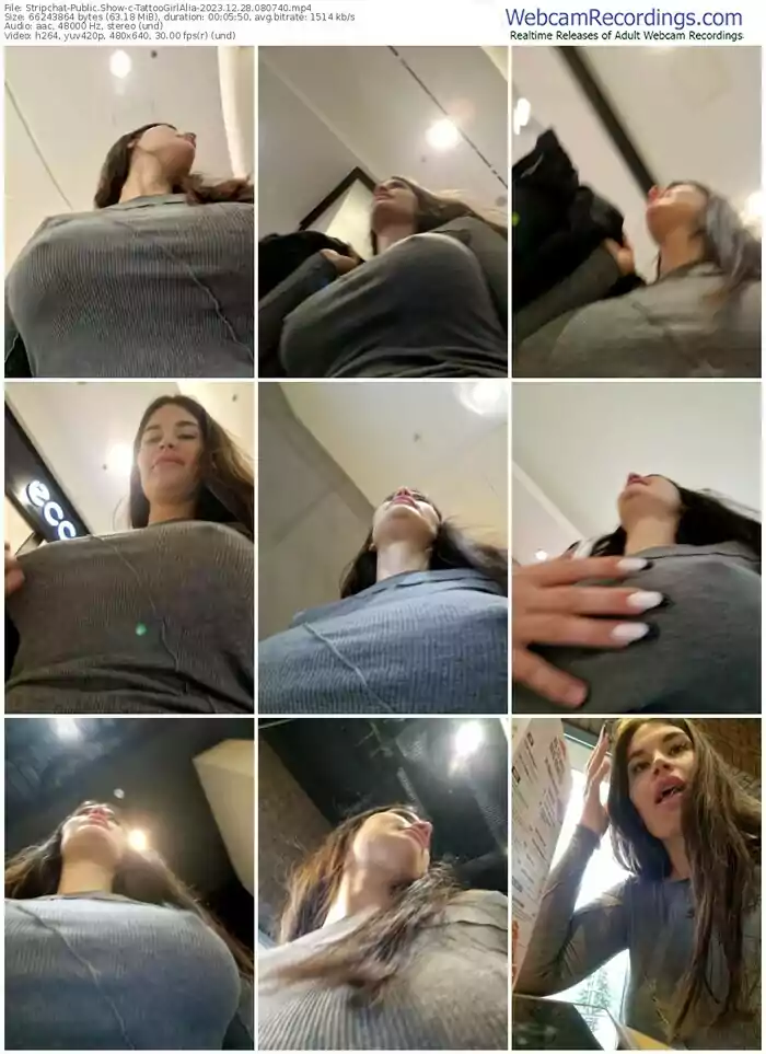 stripchat-tattoogirlalia-12-28-2023-08-07-40