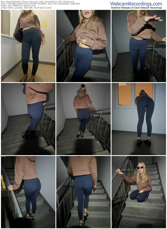stripchat-two_hot_cats_love-12-28-2023-17-42-24