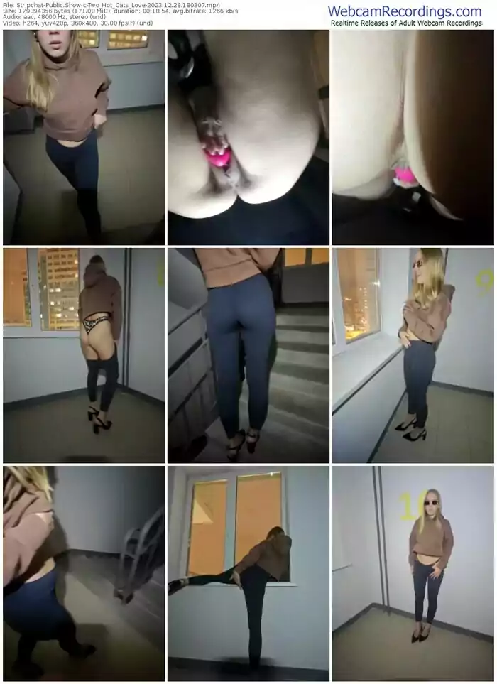 stripchat-two_hot_cats_love-12-28-2023-18-03-07