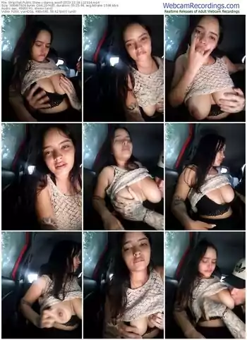 stripchat-danna_woolf-12-28-2023-12-23-24