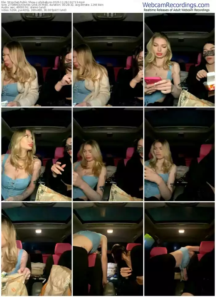 stripchat-shybabyss-12-28-2023-19-17-13
