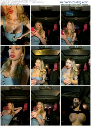 stripchat-shybabyss-12-28-2023-19-46-29