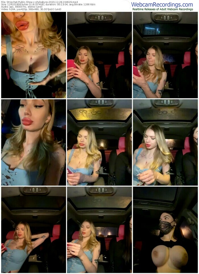 stripchat-shybabyss-12-28-2023-19-46-29