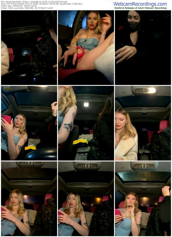 stripchat-shybabyss-12-28-2023-20-01-26