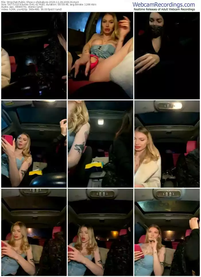 stripchat-shybabyss-12-28-2023-20-01-26