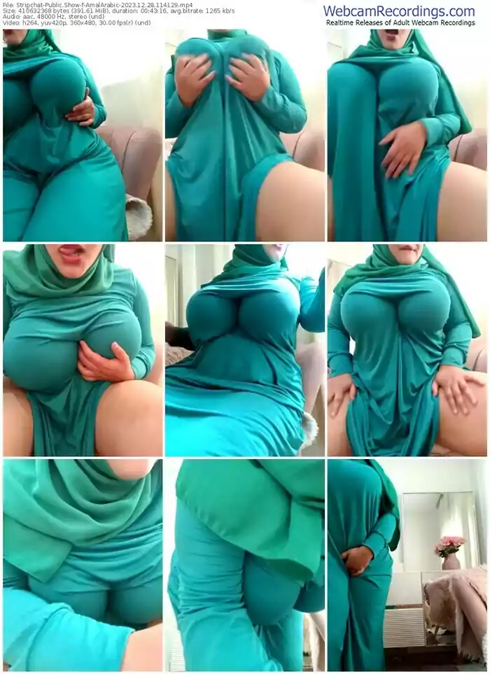 stripchat-amalarabic-12-28-2023-11-41-29