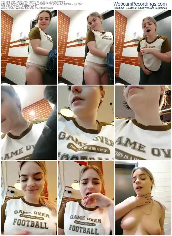 stripchat-janevibe-12-28-2023-02-40-09