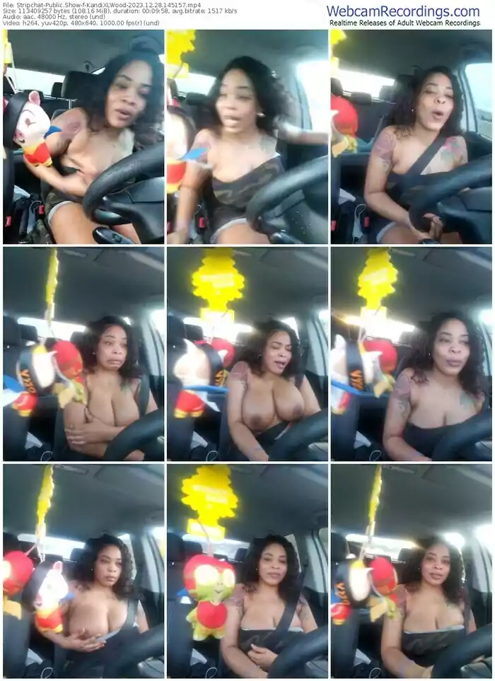 stripchat-kandixlwood-12-28-2023-14-51-57