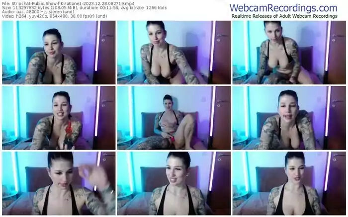 stripchat-kirakane1-12-28-2023-08-27-19