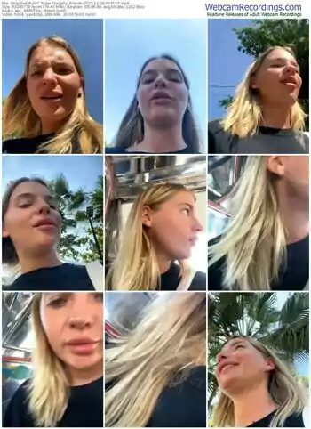 stripchat-legally_blonde-12-28-2023-06-41-42