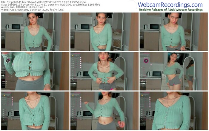 stripchat-melonsworld1-12-28-2023-19-36-59