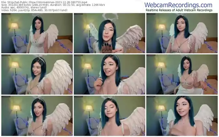 stripchat-minniehines-12-28-2023-08-07-53