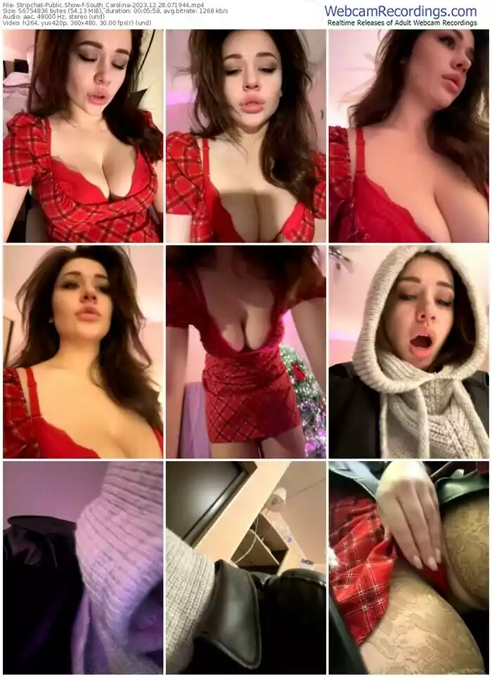 stripchat-south_carolina-12-28-2023-07-19-44