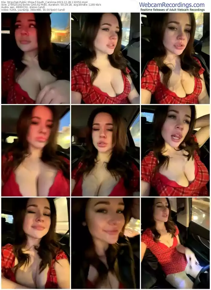 stripchat-south_carolina-12-28-2023-13-20-52