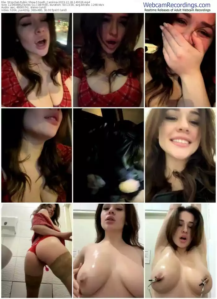 stripchat-south_carolina-12-28-2023-14-00-26