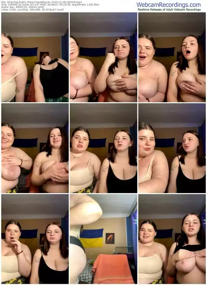 stripchat-sweettyyal-12-28-2023-23-03-56