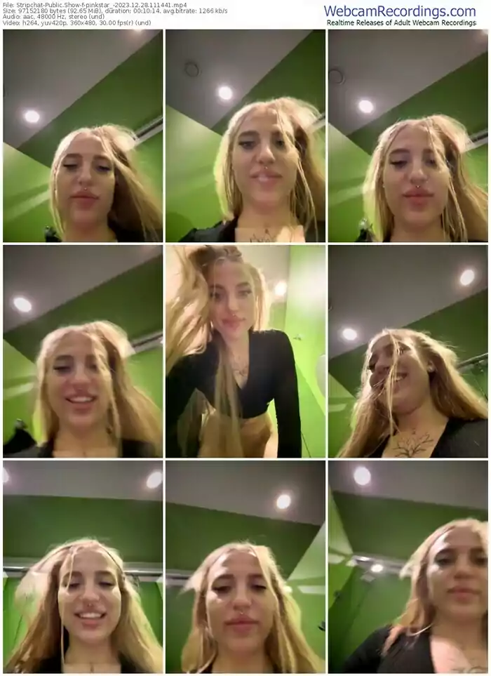 stripchat-pinkstar_-12-28-2023-11-14-41