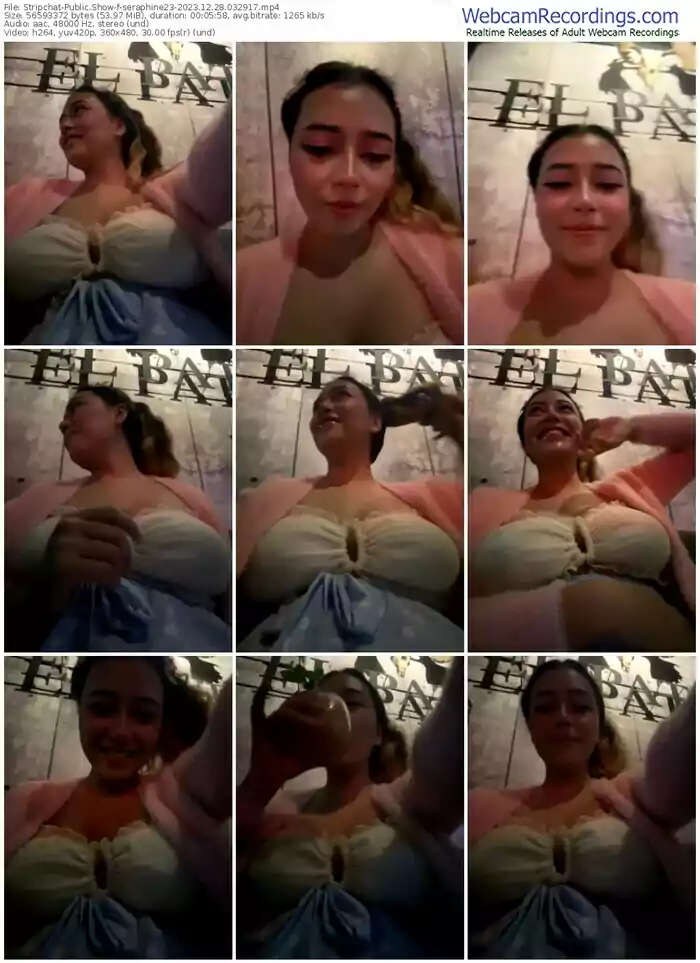 stripchat-seraphine23-12-28-2023-03-29-17