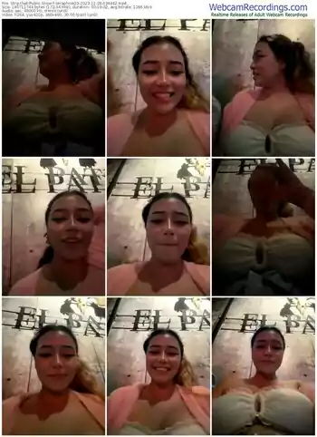 stripchat-seraphine23-12-28-2023-03-44-42