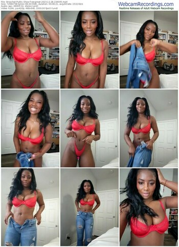 stripchat-sexgreat-12-28-2023-23-40-05