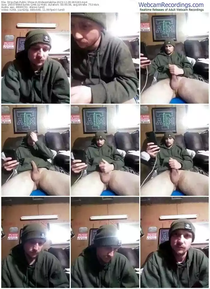 stripchat-midwestalpha-12-28-2023-06-32-43