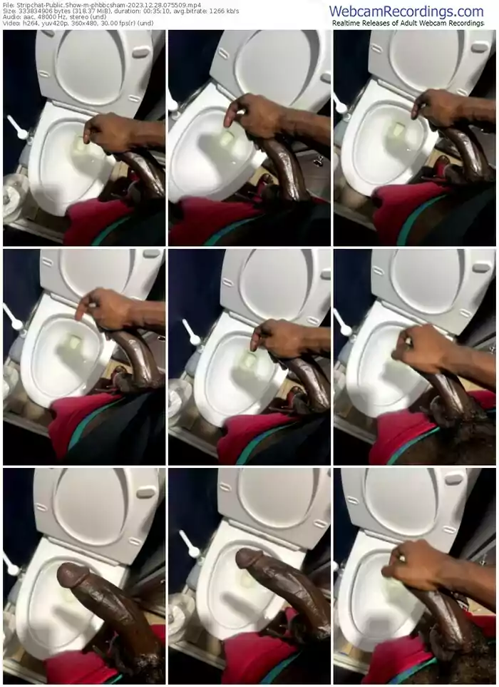 stripchat-phbbcsham-12-28-2023-07-55-09