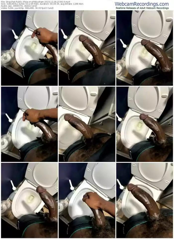 stripchat-phbbcsham-12-28-2023-21-56-14