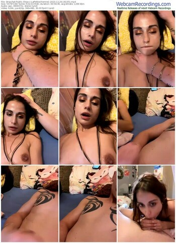 stripchat-lapetitechienne1-12-29-2023-18-13-51
