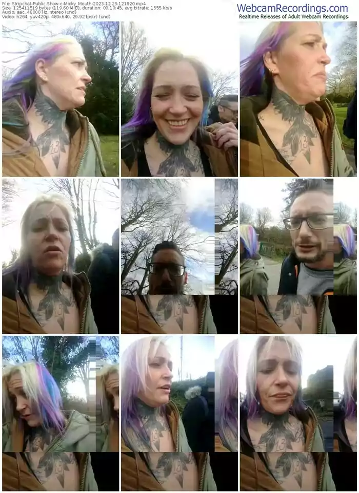 stripchat-micky_mouth-12-29-2023-12-18-20