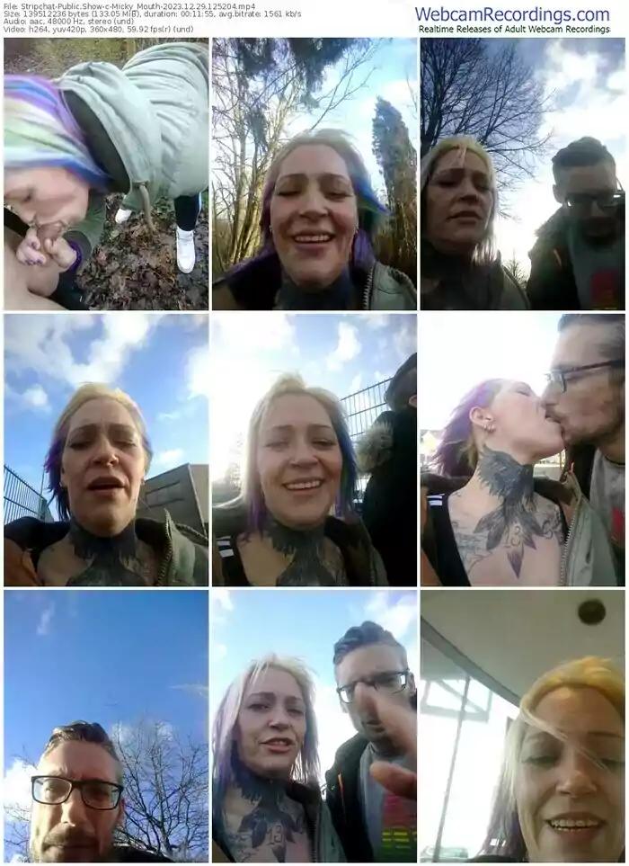 stripchat-micky_mouth-12-29-2023-12-52-04