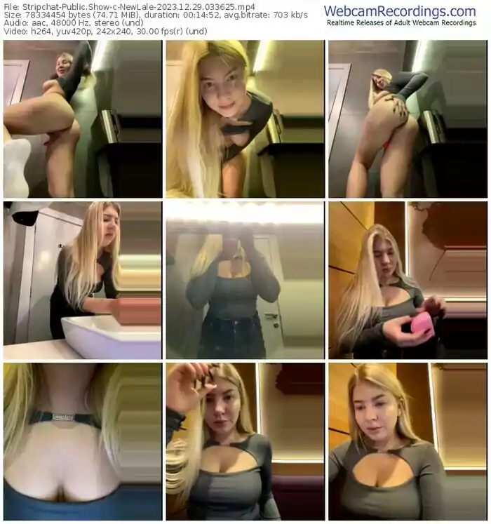 stripchat-newlale-12-29-2023-03-36-25