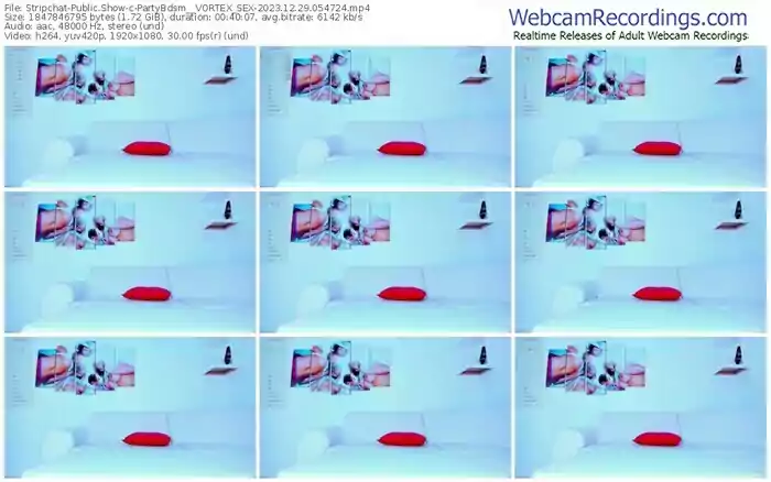 stripchat-partybdsm__vortex_sex-12-29-2023-05-47-24