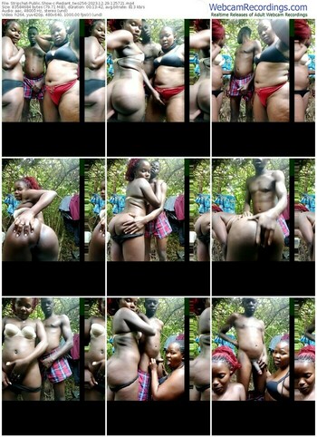 stripchat-rediant_two256-12-29-2023-12-57-21