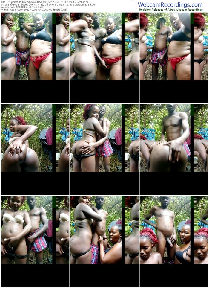 stripchat-rediant_two256-12-29-2023-12-57-21