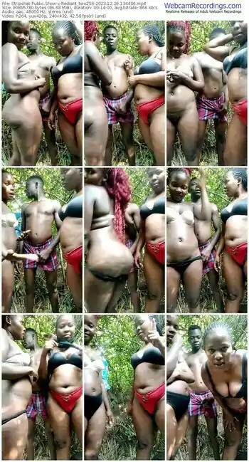 stripchat-rediant_two256-12-29-2023-13-44-06