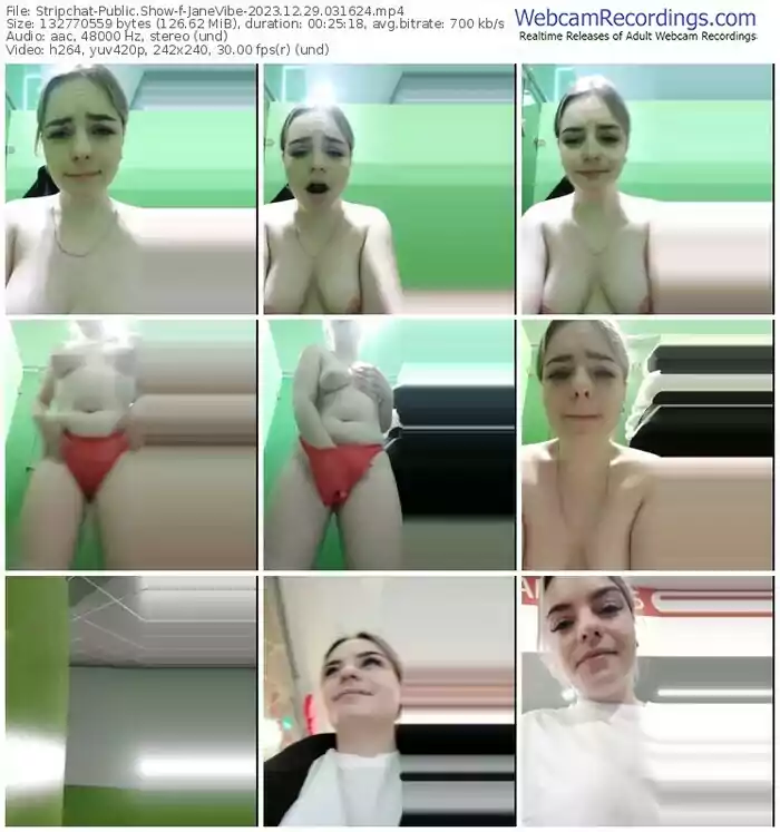 stripchat-janevibe-12-29-2023-03-16-24