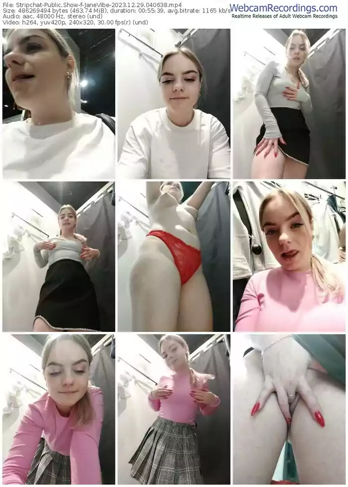 stripchat-janevibe-12-29-2023-04-06-38