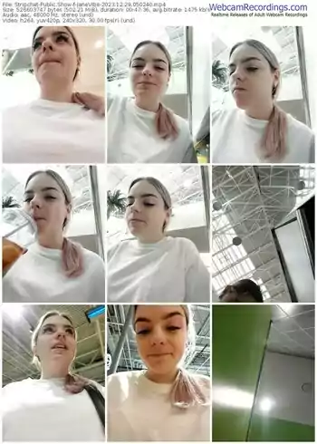 stripchat-janevibe-12-29-2023-05-02-40