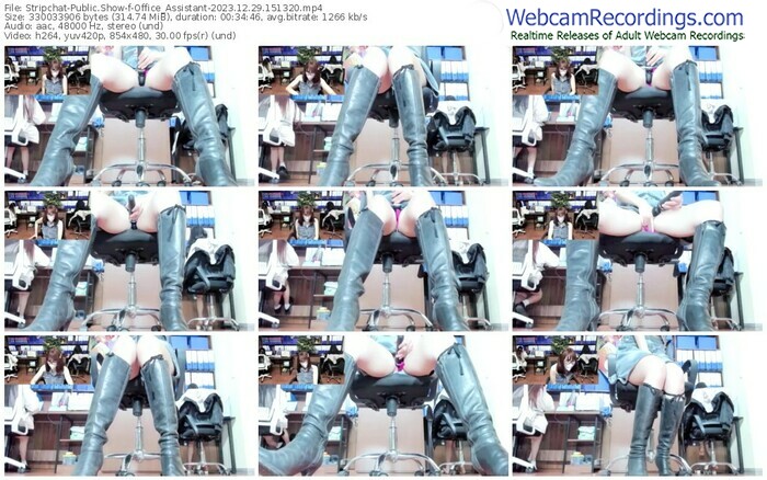stripchat-office_assistant-12-29-2023-15-13-20