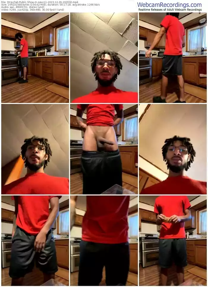 stripchat-sevv11-12-29-2023-20-26-32