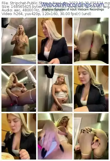 stripchat-newlale-12-30-2023-03-15-24