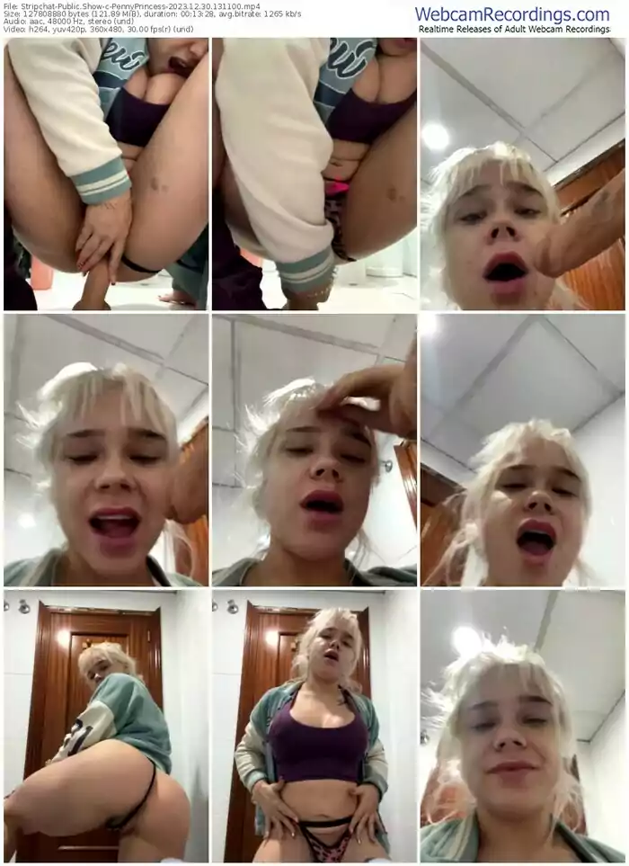 stripchat-pennyprincess-12-30-2023-13-11-00