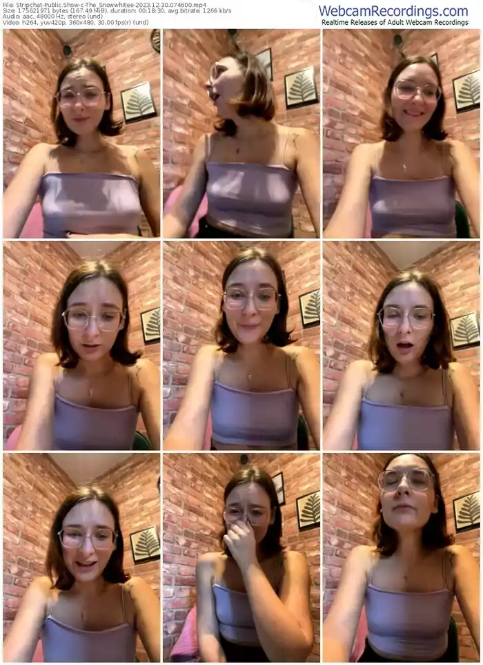 stripchat-the_snowwhitee-12-30-2023-07-46-00