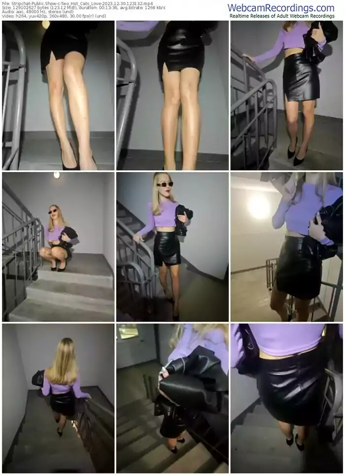 stripchat-two_hot_cats_love-12-30-2023-12-31-32